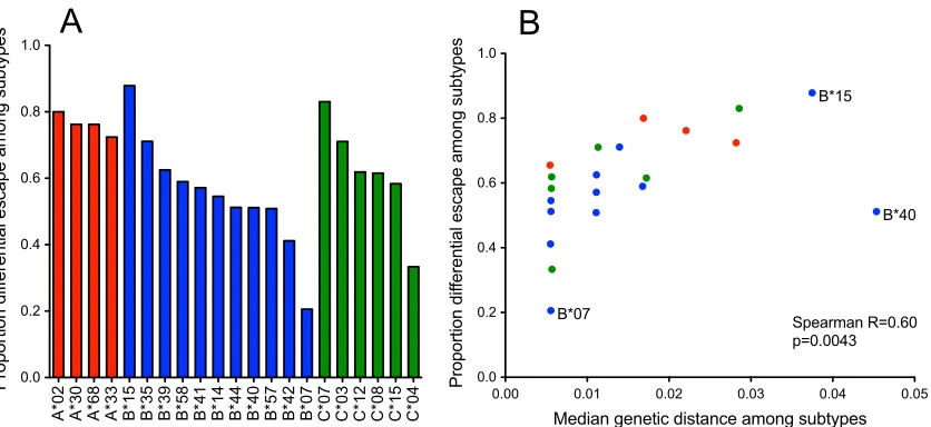 FIG 2 Widespread differential escape between HLA allele group members correlates with evolutionary distance between HLA genes
