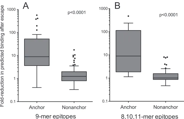 FIG 4 Fold changes in predicted peptide-HLA binding afﬁnities following escape at anchor residues