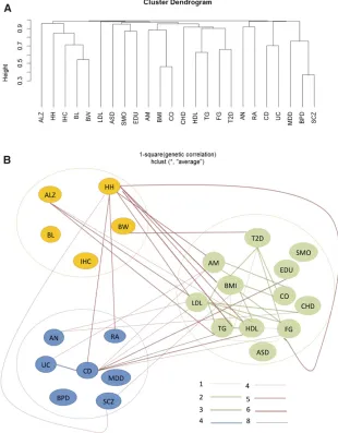 Table S2 in File S1association studies, which contained more noncoding vari-ants important to both phenotypes at a regulation or epige-netic level (Tsankova for details) from overall genome-wide et al