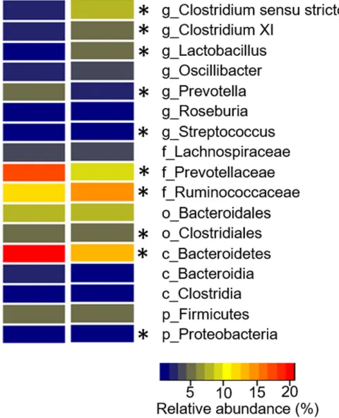 Figure 1 Nonmetric multidimensional scaling (nMDS) plot illustratingteroidetes (some stress on the plot, this is considered acceptable since 207 samples aresimilarities in the global bacterial community structure of pig colon digesta.The pigs are colonized