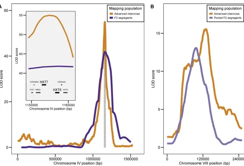 Figure 5 Increased QTL resolution due to increased recombination in an advanced intercross population