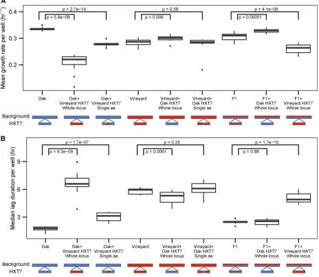 Figure 6 Background-dependent effects on HXT7 contribute to cell growth rate variation