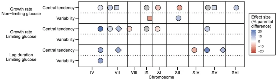 Figure 1 Multiple QTL underlie phenotypic variation and variability of cell growth. Additive QTL identiChromosome size and QTL position correspond to genetic distance (in cM)