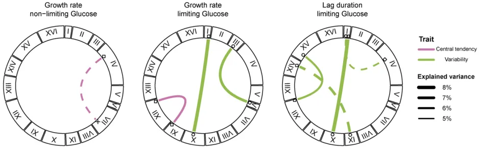 Figure 2 Genetic interactions contribute to phenotypic variation and variability of cell growth