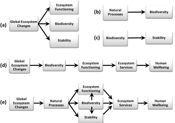 Figure 1.1 Synthesis of concepts from four ecological fields (a-d) to develop an inclusive  framework (e)