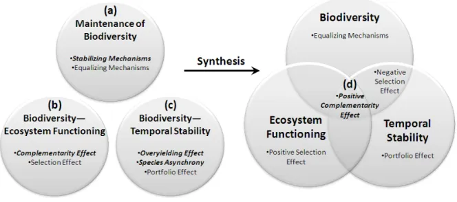 Figure 1.2 Comparing mechanisms predicted to promote biodiversity (a), ecosystem  functioning (b), and temporal stability (c) elucidates mechanisms that promote ecosystem  conservation (d)