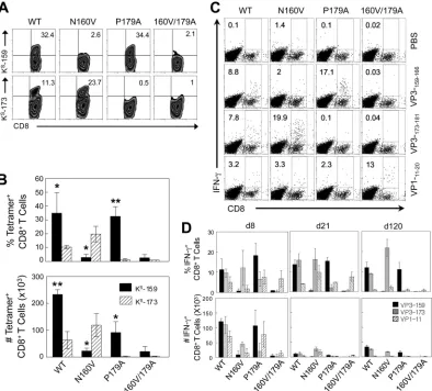 FIG 2 Epitope-speciﬁc CD8Cells were stained for both CD8 and intracellular IFN-independent experiments is shown