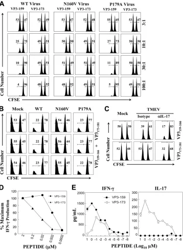FIG 7 Different cytolytic functions of epitope-speciﬁc CD8of TMEV infection. At 8 days postinfection,with various concentrations of VP3IFN-100% of the epitope-speciﬁc IFN-� T cells