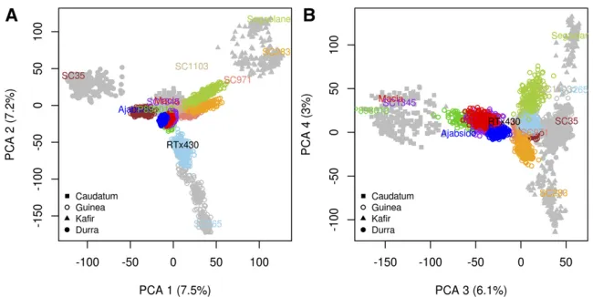 Figure 1 Principal component analysis of NAM(Guinea, Kathe proportion of variance explained by each axisin parentheses