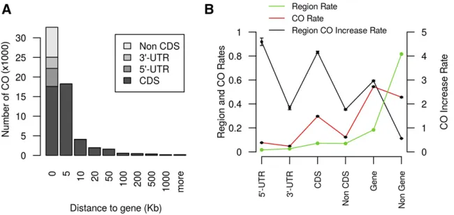 Figure 3 Crossover rate is greater near and ingenes. (A) The number of crossovers (COs) with re-spect the distance to the nearest gene