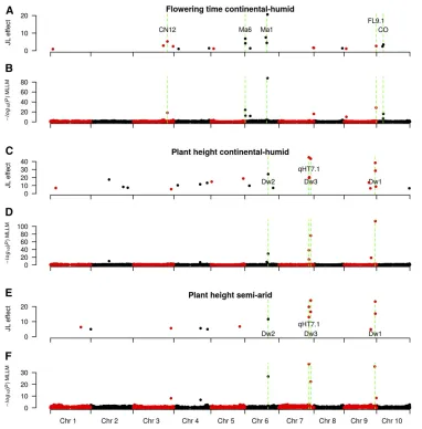 Figure 5 QTL mapping for ﬂoweringtime and plant height in the NAMpopulation. Flowering time QTL effectsizes in a continental humid (CH; Man-hattan, KS) environment estimatedwith a JL model (A), and ﬂowering timeQTL identiﬁed using a MLLM model(B)