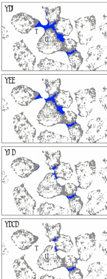 Fig. 8. Dilution of the uppermost part of the local inter-grainnetwork is instantaneous (Fig