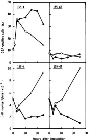 TABLE 2. Various conditions affecting the expression ofHSV-CSA in 155-4 cells