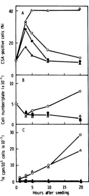 FIG. 5.growth,ActExpressiontreatedwithcellsofcellstrol ['H]leucine Effect ofPM on HSV-CSA expression, cell and incorporation of ['Hileucine in 155-4 treated with and without Act D