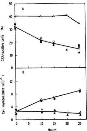 TABLE 3. Effect ofPM on HSV-CSA in 155-4 cells treated with Act D