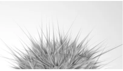 Figure 3: Fur is rendered as ﬂat ribbons facing the camera. Some random luminance and