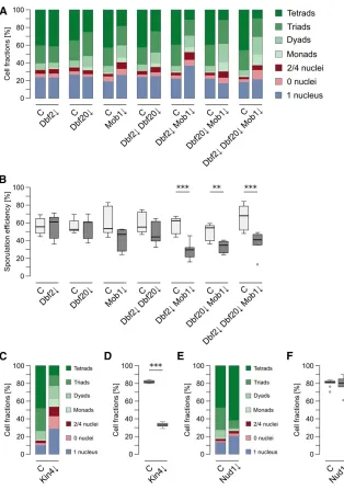 Figure 2 Dbf2-Mob1 and Dbf20-Mob1 are re-mutants show reduced sporulation efdescribed in (A)