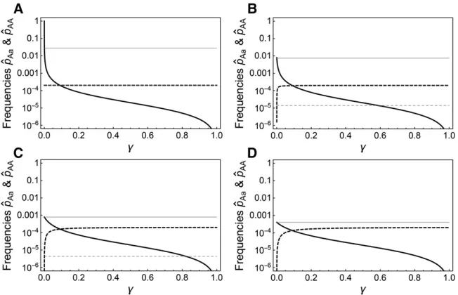 Figure 3Þmzygotes and the bold dashed line the equilibriumfrequency ofthe thin lines show the corresponding frequenciesin outbreeding sexual populations