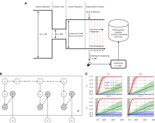 Figure 1 E&R selection experiments onand sequenced with coverageCreplicates of the population are evolved and resequenced to collect time-series genomic data