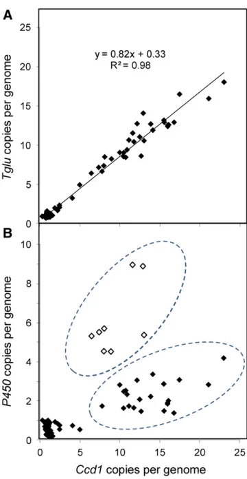 Figure 4 Structural heterogeneity inP450repeats. Gene copy number was estimated as described inMethods Wc repeats