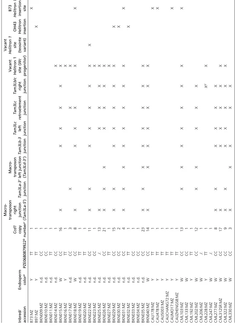 Table 3 Sequence features detected in genomes of maize and teosinte accessions