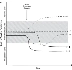 Figure 1.2: Resilience pathways (Masten & Narayan, 2012) 