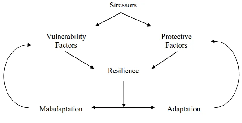Figure 1.5: Woodgate's (1999) process-oriented model of resilience 