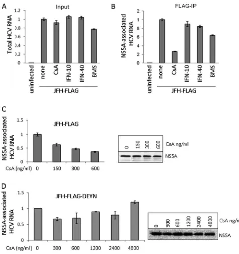 FIG 2 CPIs interfere with HCV RNA association with the NS5A complex. (A)Input HCV RNA levels from JFH-FLAG-infected cells exposed to varioustreatments for 8 h