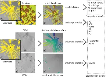 Figure 2.6. Procedure for computing binary viewshed for a single viewpoint, combining the resulting map with land cover, DEM and DSM to obtain visible land cover, horizontal and vertical visible surface, and applying spatial analysis to quantify compositio