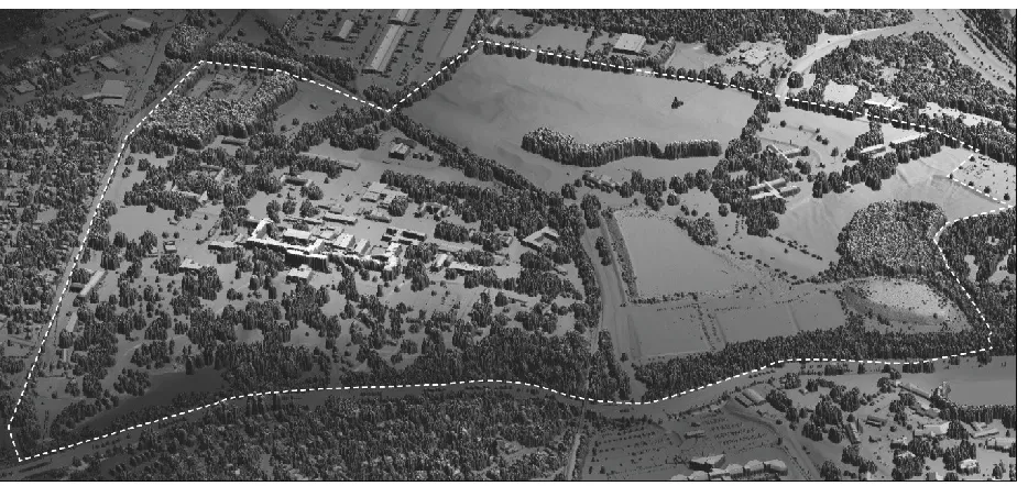 Figure 3.2. Digital surface model interpolated from lidar points.
