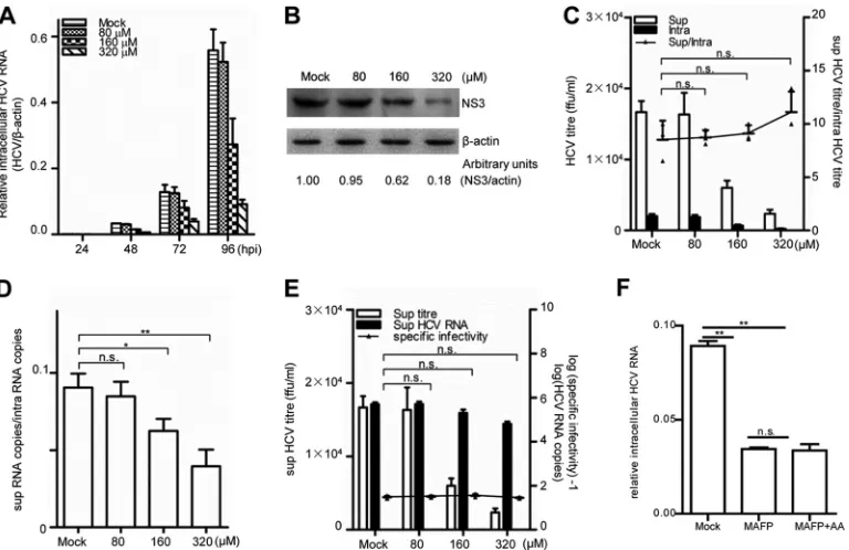 FIG 3 Inhibition of PLA2G4C decreases HCV replication. Huh7.5.1 cells were infected with HCV J399EM (MOI � 0.1) for 6 h before being incubated withMAFP at various concentrations