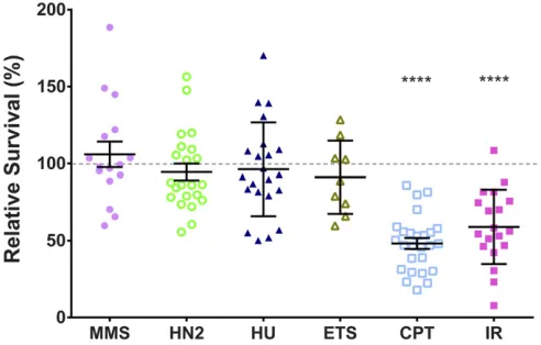 Figure 2 Marcal1**** mutants are sensitive to killing by DSB-inducingagents. Flies heterozygous for null mutations in Marcal1 were mated intwo broods of at least 10 vials, with each vial representing a biologicalreplicate