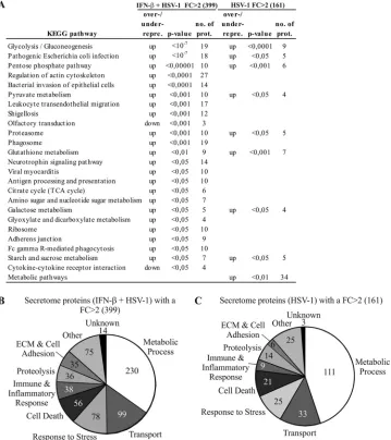 FIG 4 Functional classiﬁcation of the secreted proteins after HSV-1 infection with and without IFN-secretome proteins with an FC offor the proteins with an FC of� priming
