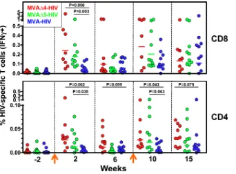 FIG 1 Modiﬁed MVA vectors elicit enhanced HIV-speciﬁc T cell responses in immunized macaques