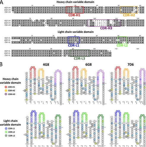 FIG 4 Sequence analysis of 4G8, 6G8, and 7D6 reveals starkly different CDR-H3 regions and similar light chains