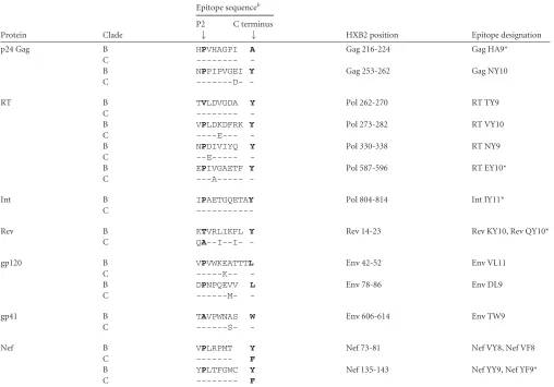 TABLE 1 Thirteen HLA-B*3501-restricted epitopes in HIV-1 from Gag, Pol, Rev, Env, and Nef proteinsa