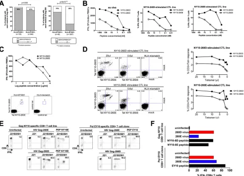 FIG 5 Selection of Gag-D260E substitution in C-clade infection and effect of this polymorphism on CD8-B*3501, -B*5201, -Cw*0303, -Cw*1202) to optimal epitope NY10 (NPPIPVGDIY) and an escape variant containing the D260E substitution (NPPIPVGEIY)IFN-(bottom)
