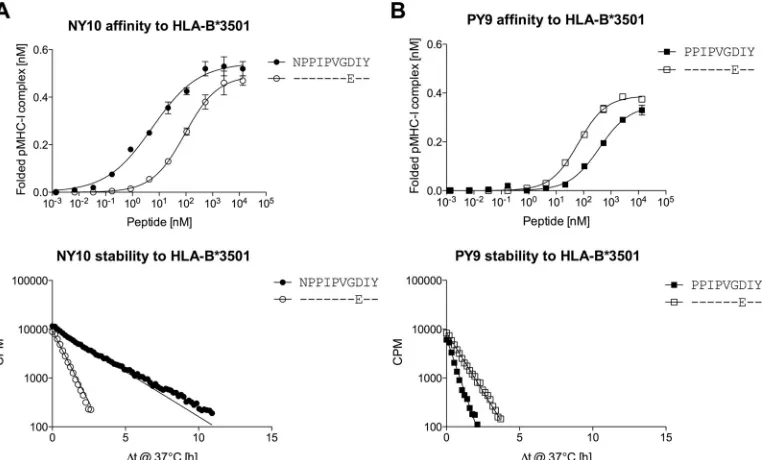 FIG 6 Binding of NY10 Gag and PY9-Gag to the HLA-B*3501 molecule. Strength of binding afﬁnity (scintillation proximity assay, as previously described (Kd, nM) of HLA-B*3501 was determined using theluminescent oxygen channeling immunoassay, as previously de