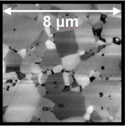 Figure 4.1 AFM scan of alumina purchased from Coorstek. 