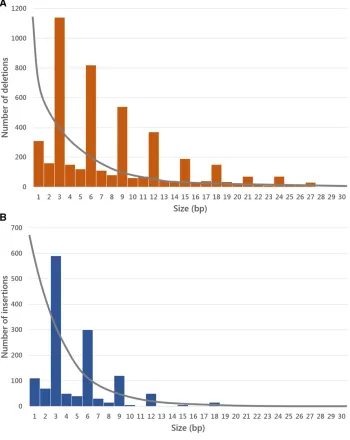 Figure 4 The footprint of deleterious selec-tion on indel variation. Indel size distribu-tion of (A) deletions and (B) insertions incoding regions (bars) and short introns(for comparison, gray line)