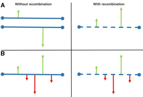 Figure 5 Representation of the cost of linkage on selected sites, or HRi.Arrows indicate adaptive (green) and deleterious (red) mutations, whiletheir length indicates the intensity of selection