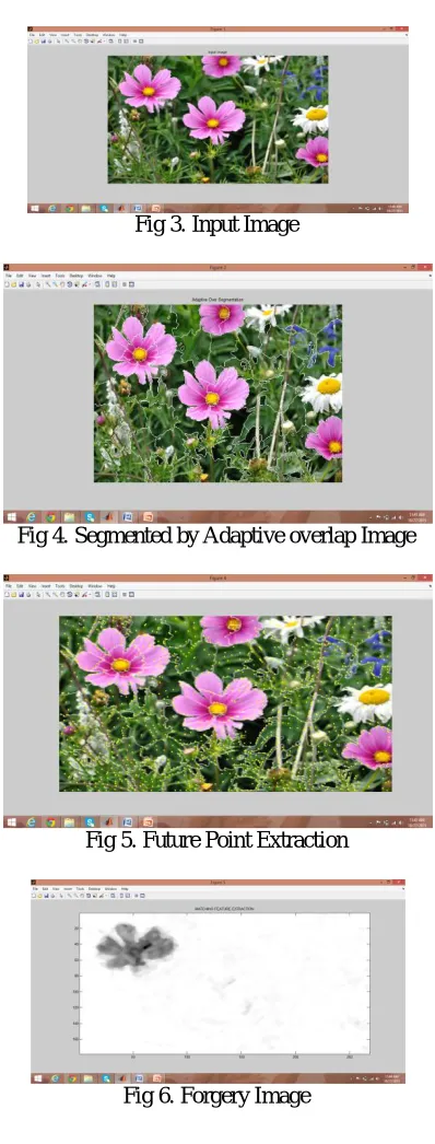 Fig 3. Input Image  