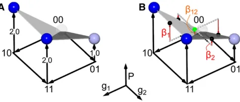 Figure 1 Epistasis can be quantiﬁed using Walsh polynomials. (A) A