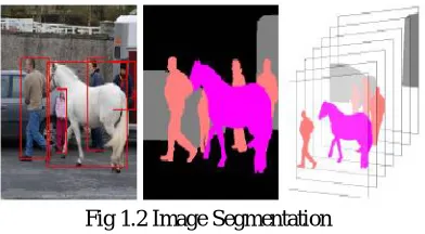 Fig 1.2 Image Segmentation 