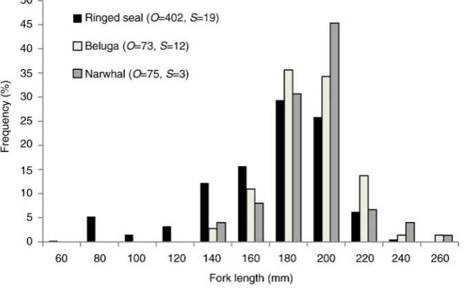 Fig. 2 Frequency distribution of Arctic cod size (fork length [FL], mm) found in the stomachs of ringed seals, belugas and narwhals