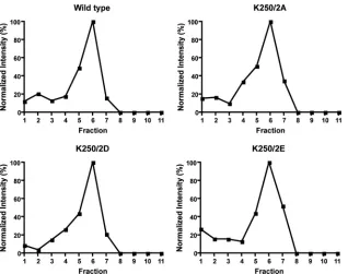 FIG 9 Rate-zonal gradient analysis of cells transfected with a mammalian expression vector producing the Sindbis structural polyprotein