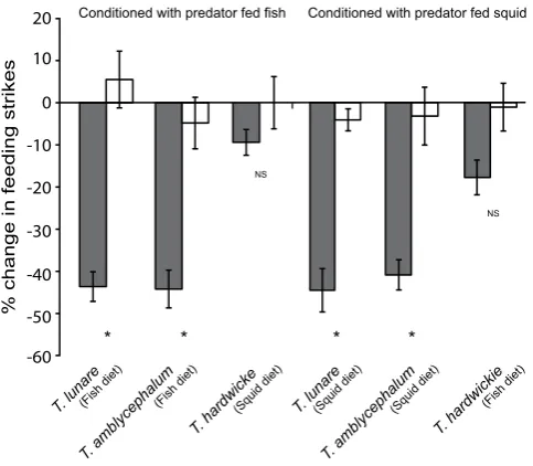 Figure 3. fish, 5 min observation; mean on the treatment. Stars below bars indicate significant differences between true and false conditioning Generalisation pattern based on known predators’ diet