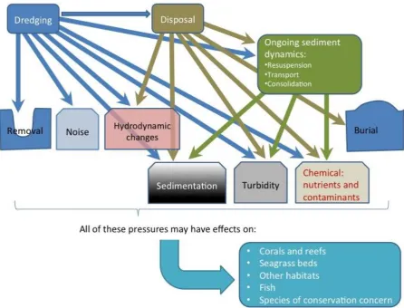Figure 5: Relationships between the activities of dredging and dredge material disposal, the major (potential) pressures and their effects on key habitats and other biodiversity values of the Great Barrier Reef World Heritage Area