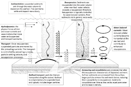 Figure 6: Conceptual illustration of important sediment dynamics processes in the Great Barrier Reef