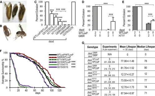 Figure 2 Targeted mutations cause eclosion defects and shorten life span. (A) A representative image ofcontrolheterozygotes withdsodin expected Mendelian ratios